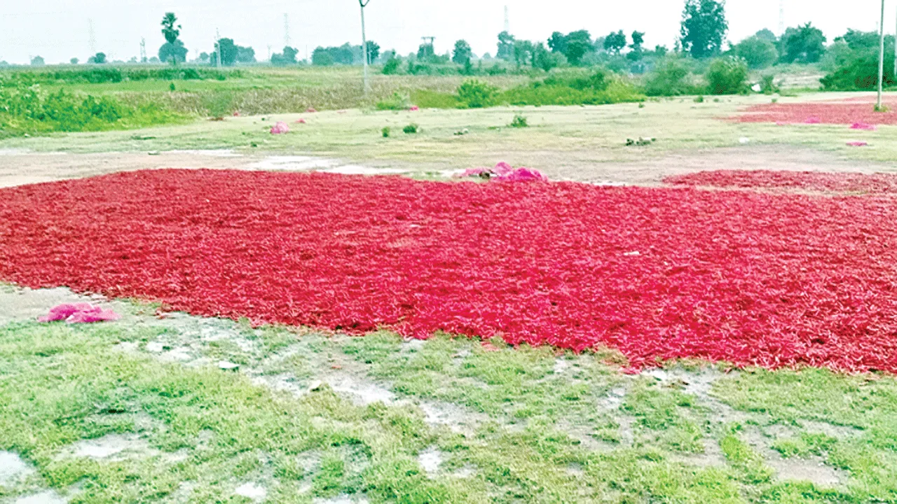 అకాల వర్షంతో..అపార నష్టం