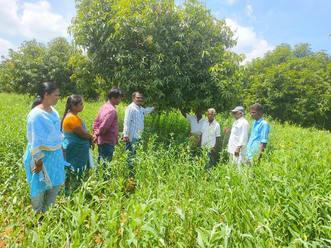 మేలైన యాజమాన్య పద్ధతులతో అధిక దిగుబడి 