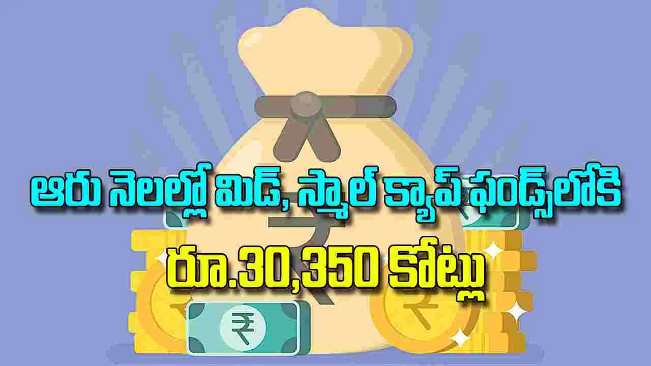 ఆరు నెలల్లో మిడ్‌, స్మాల్‌ క్యాప్‌ ఫండ్స్‌లోకి రూ.30,350 కోట్లు 