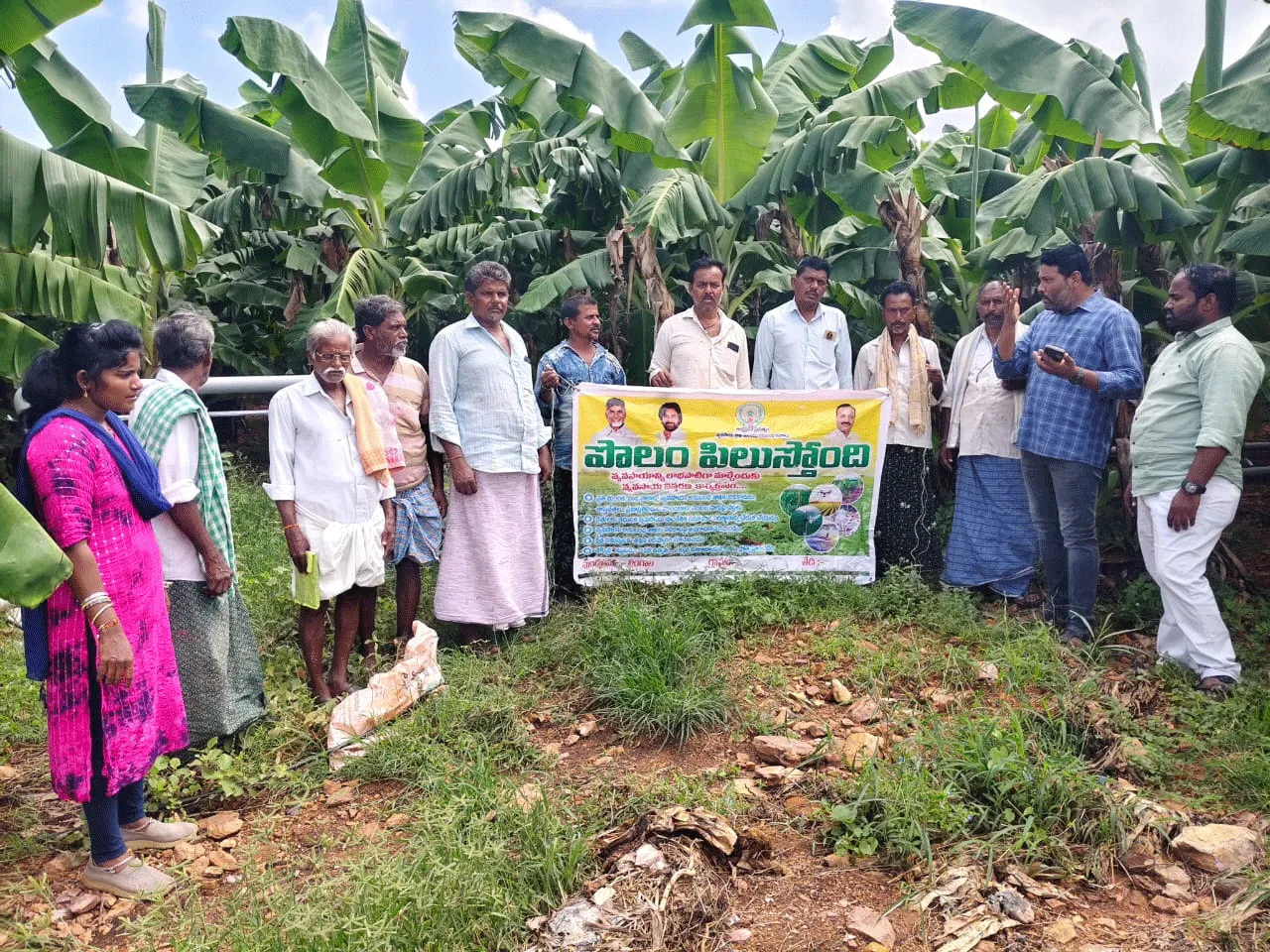 సమగ్ర యాజమాన్యంతో అధిక దిగుబడులు