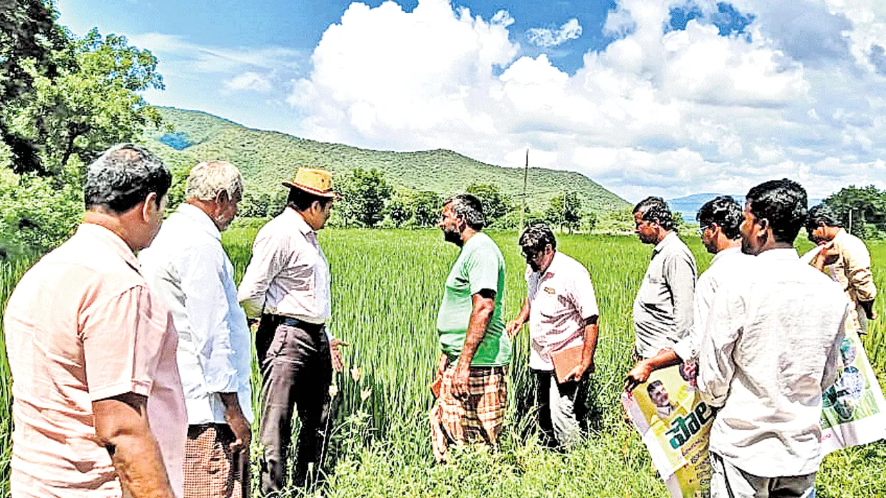 సీజనకు అనుగుణంగా పంటలు సాగు చేయాలి