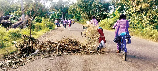 ఆదమరిస్తే ప్రమాదం సుమా!