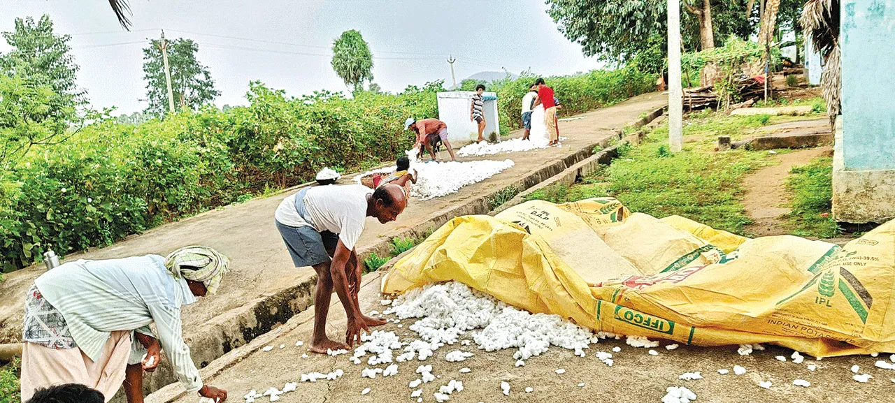  తుఫాన్‌ గండం