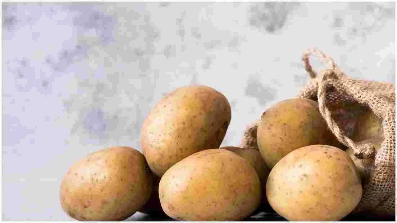 Potato Adulterated: మార్కెట్లో నకిలీ ఆలుగడ్డలు.. వాసన చూసి పట్టేయొచ్చు