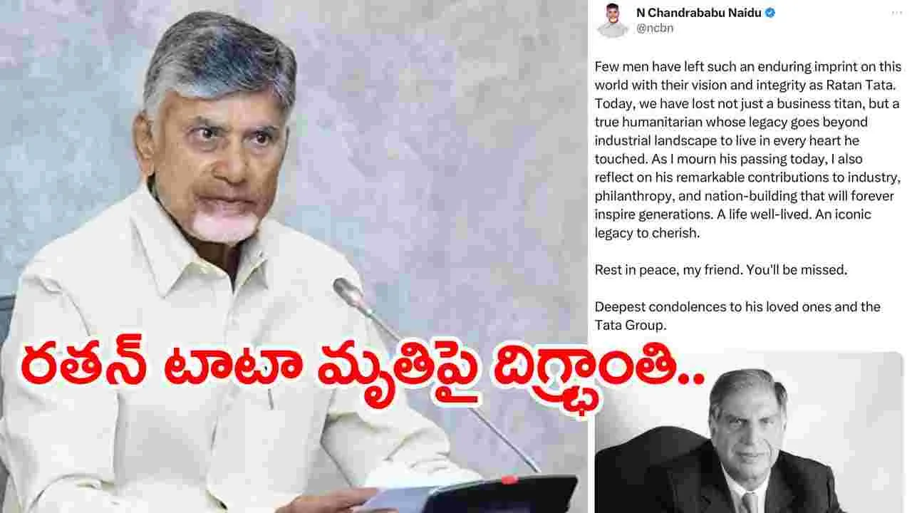 CM Chandrababu: గొప్ప మానవతావాదిని కోల్పోయాం..