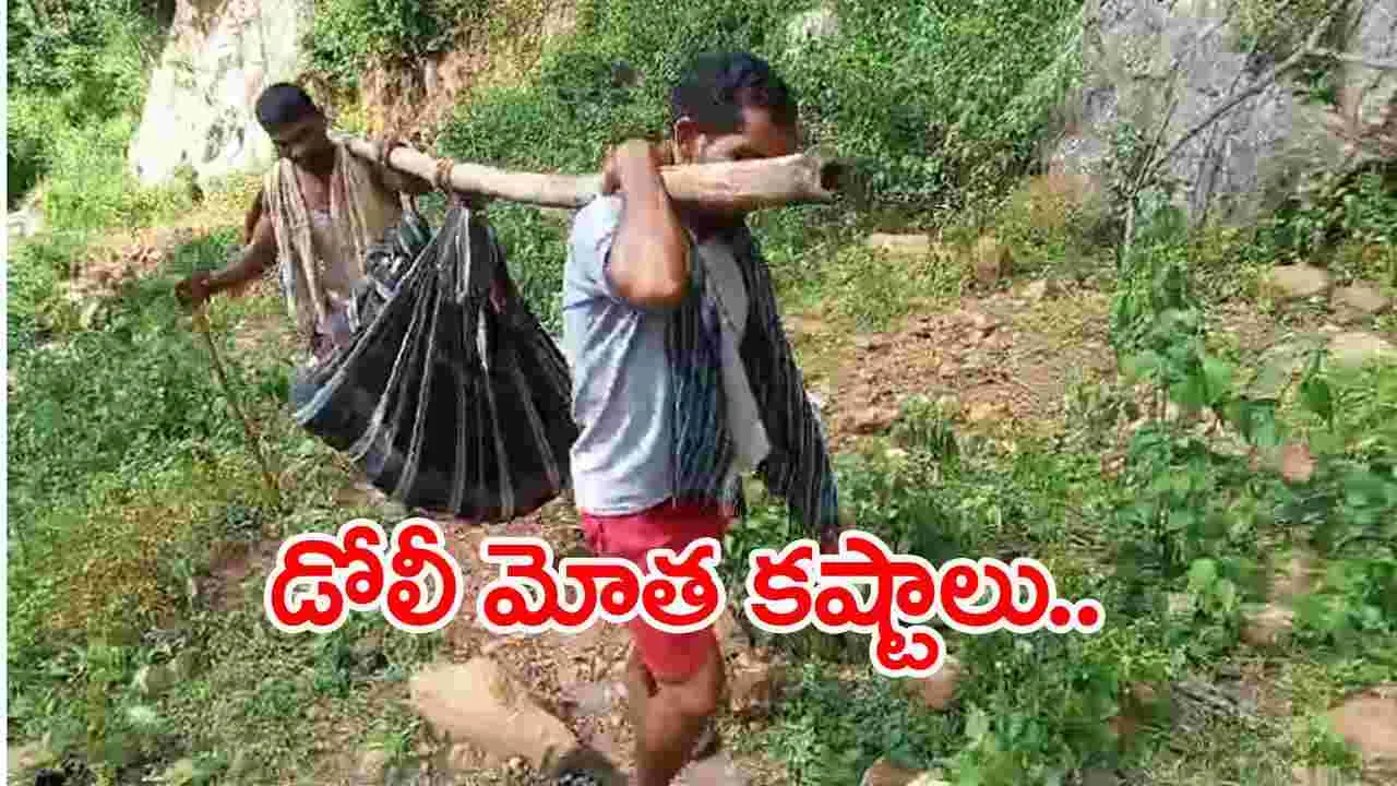 Alluri District: నిండు గర్భిణిని.. ఐదు కిలోమీటర్ల డోలీ మోత..