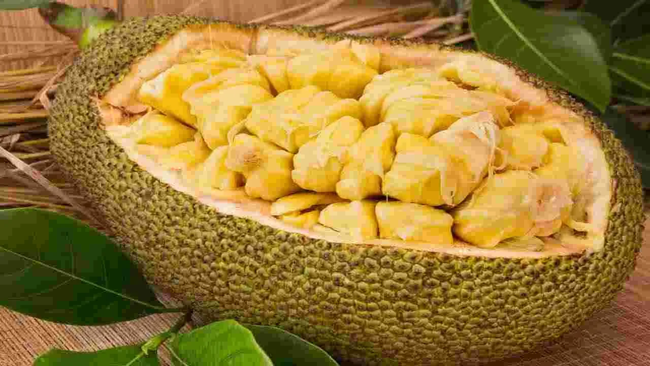 Jackfruit:  పనసపండును ఇష్టంగా తినేవారు ఈ నిజాలు తెలుసుకోకపోతే నష్టపోతారు..!