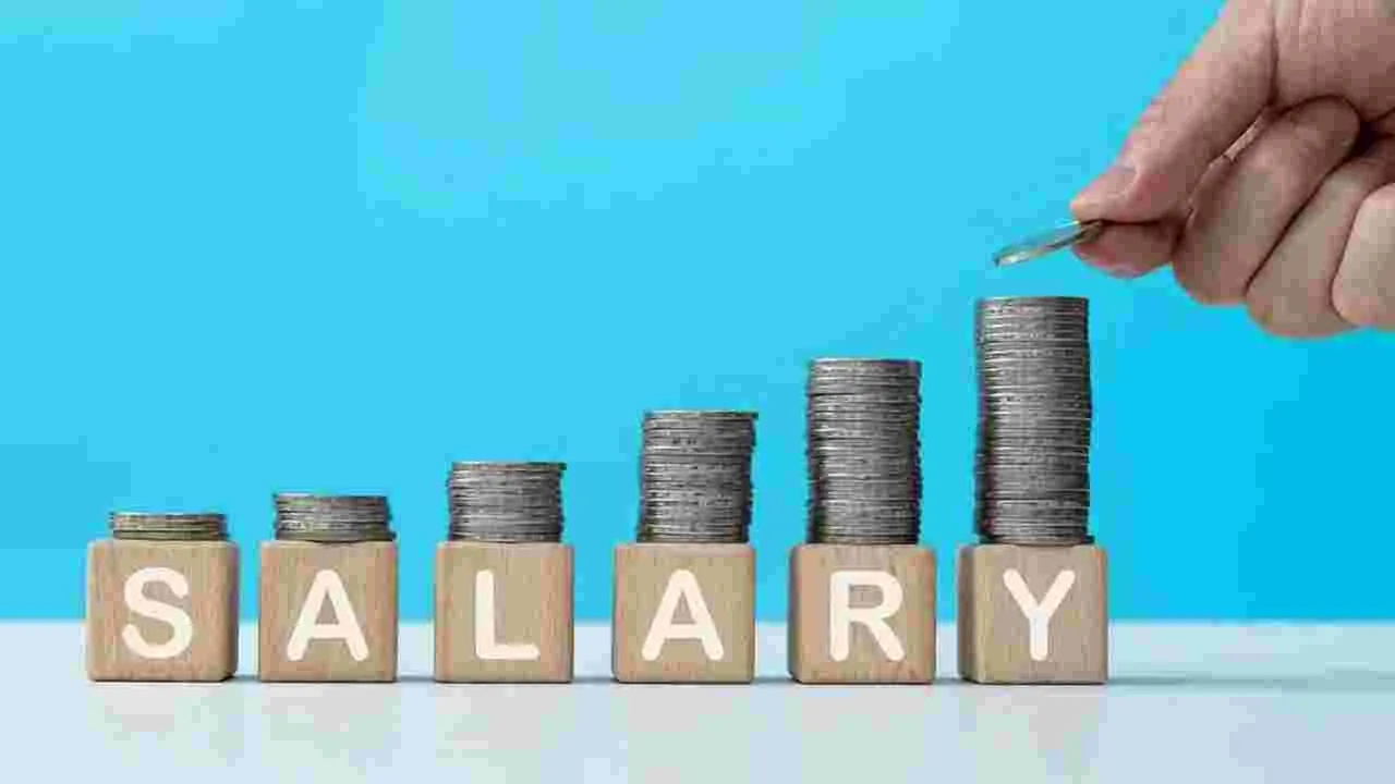 Salary Hike: ఉద్యోగులకు షాకింగ్.. జీతాల పెంపు గురించి కీలక అప్‌డేట్