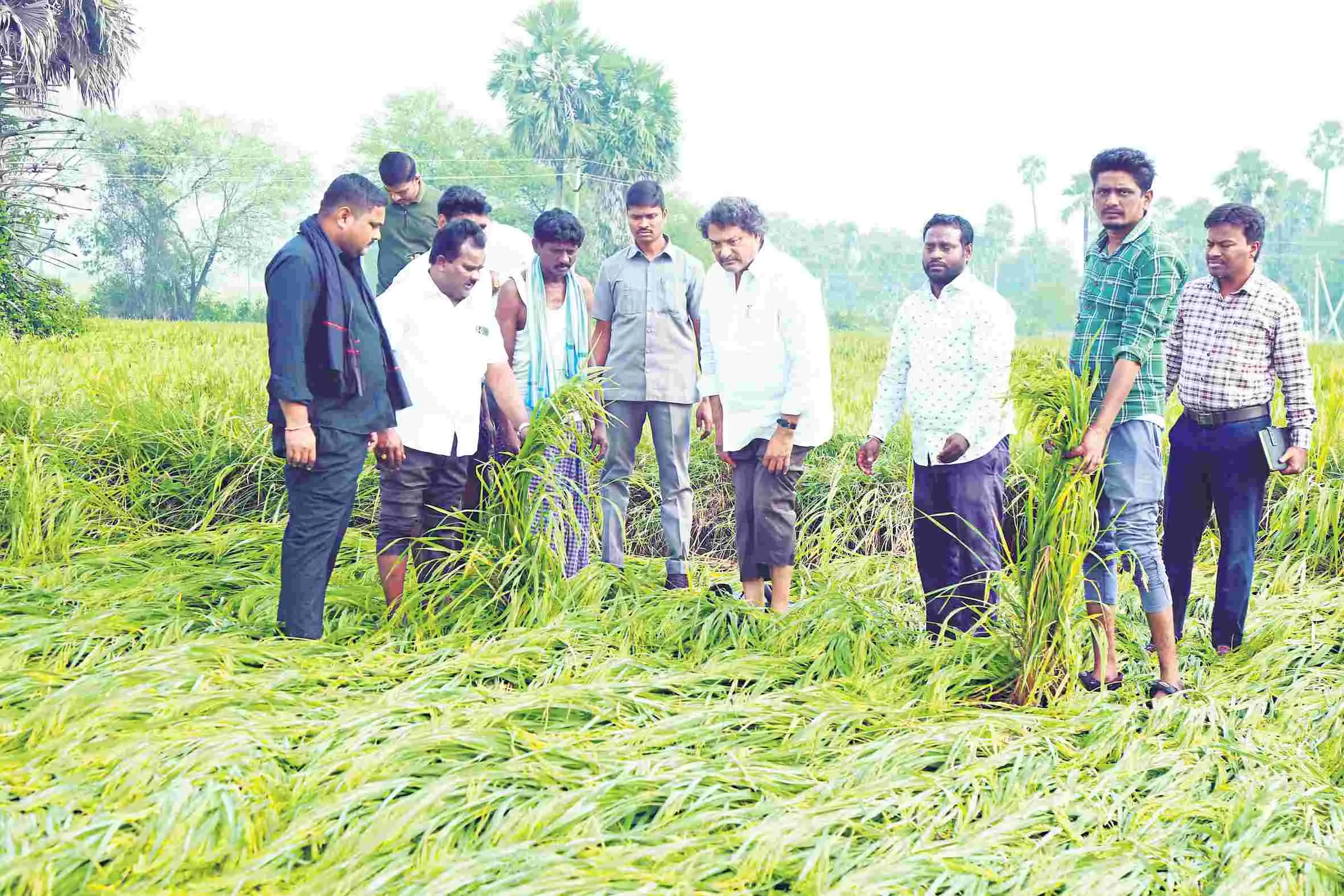 పంట నష్టపోయిన ప్రతీ రైతుకు పరిహారం