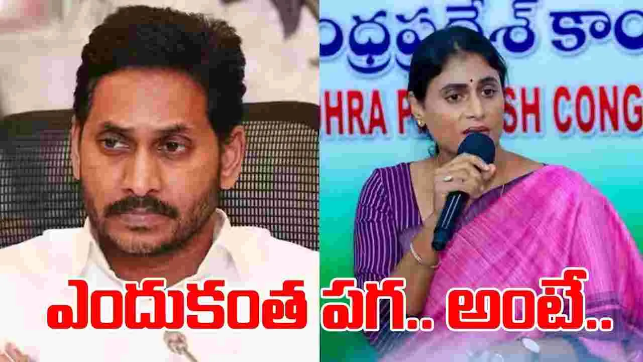 AP Politics: షర్మిలపై జగన్‌కు ఎందుకంత ‘పగ’.. అంటే..