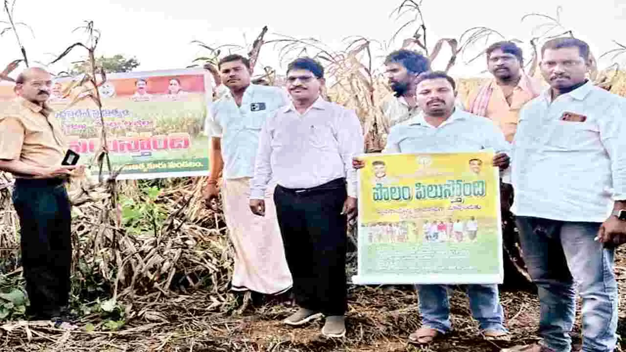 భూసారం ఆధారంగా సాగు చేపట్టాలి: డీఏవో