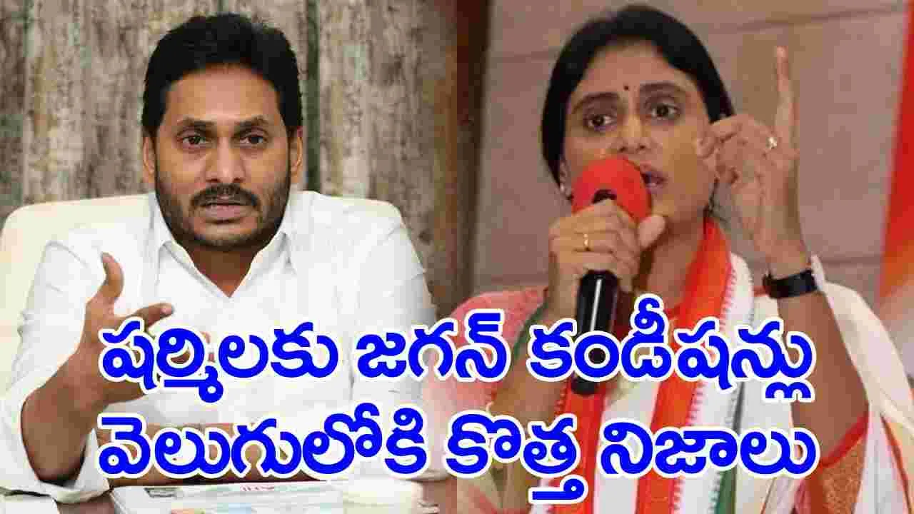 YS Sharmila: అన్న వైఎస్ జగన్‌ను కడిగిపారేసిన వైఎస్ షర్మిల