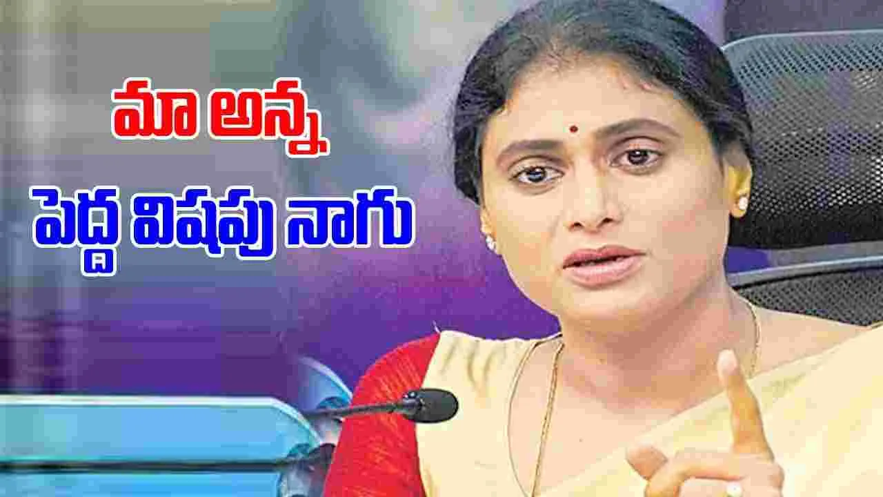 AP Politics: జగన్‌కి ఇంకా చంద్రబాబు పిచ్చి వీడలేదా ?