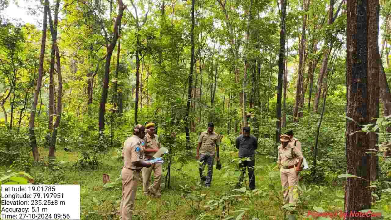 అడవుల సంరక్షణకు కృషి చేయాలి