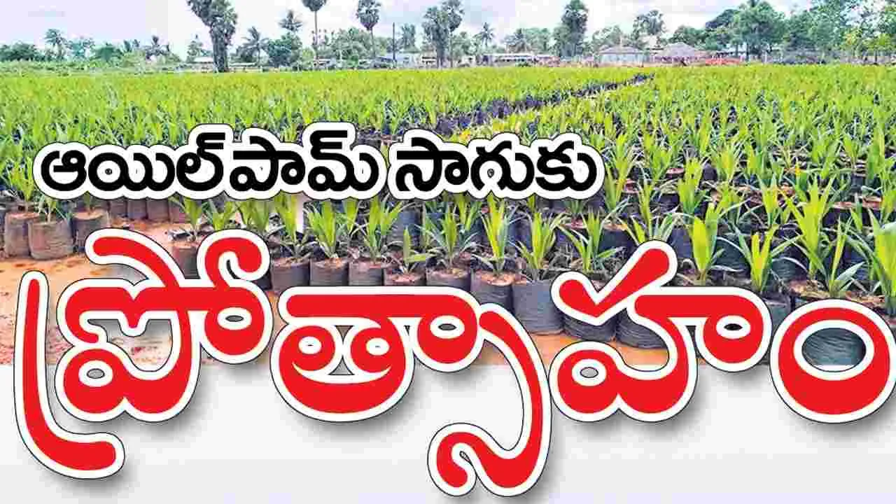 ఆయిల్‌పామ్‌ సాగుకు ప్రోత్సాహం