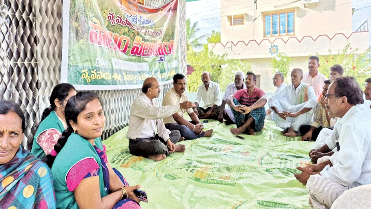 అపరాల సాగుతో భూమి సారవంతం