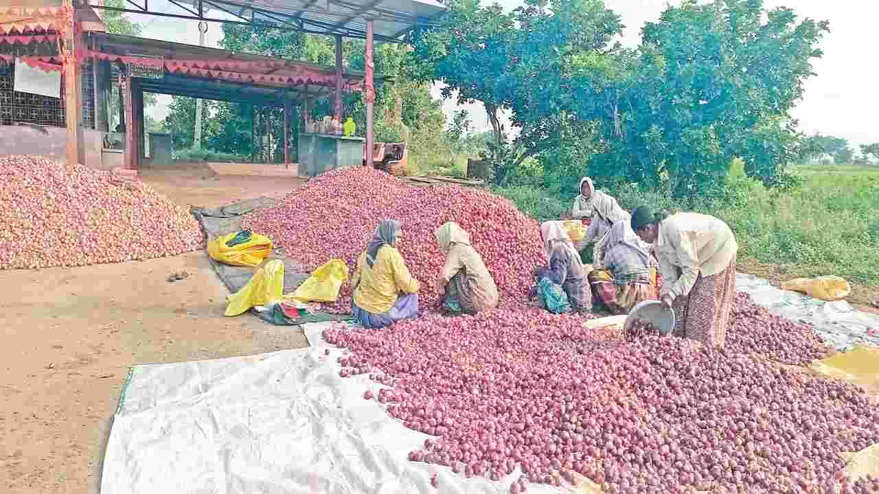 తగ్గిన దిగుబడి - పెరిగిన ధర