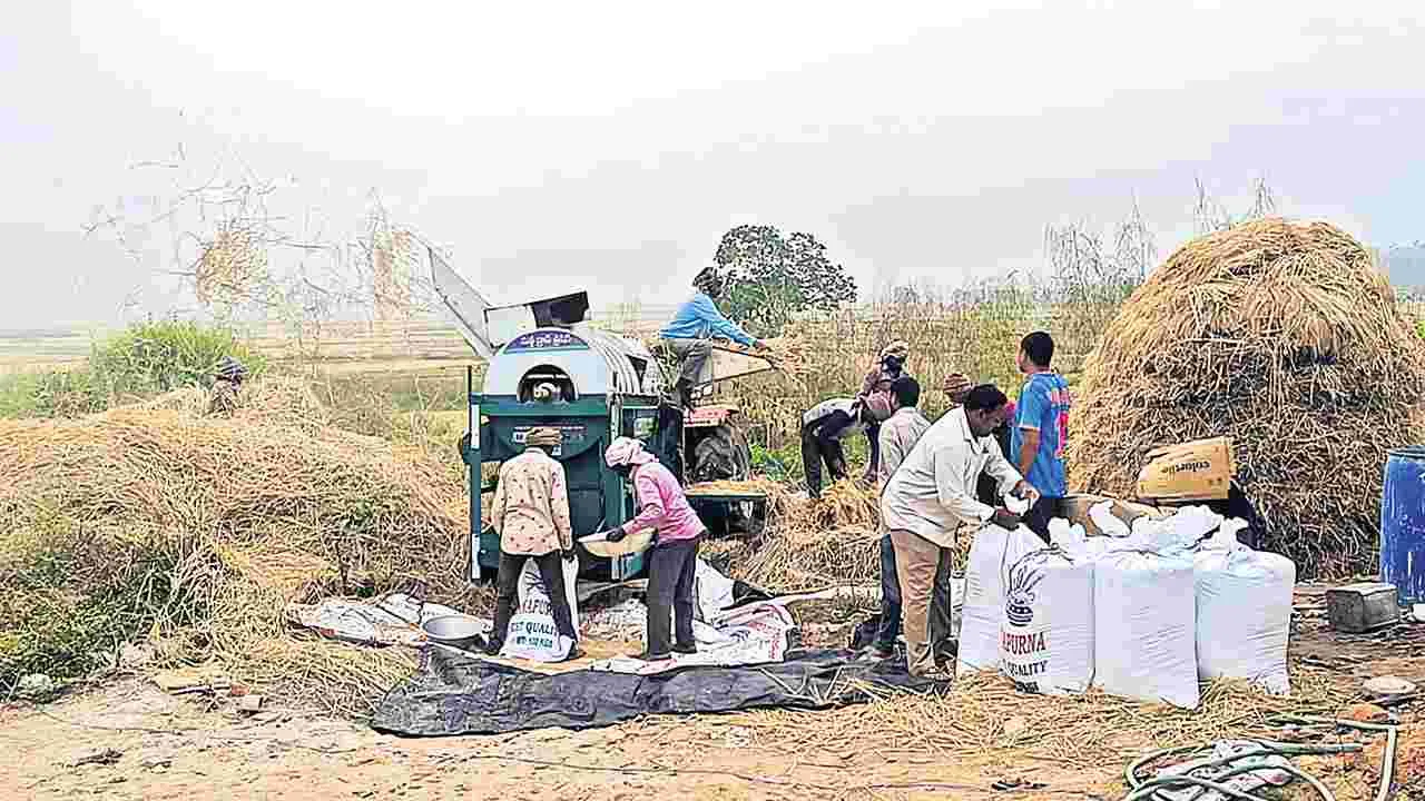 అన్నదాత వర్రీ