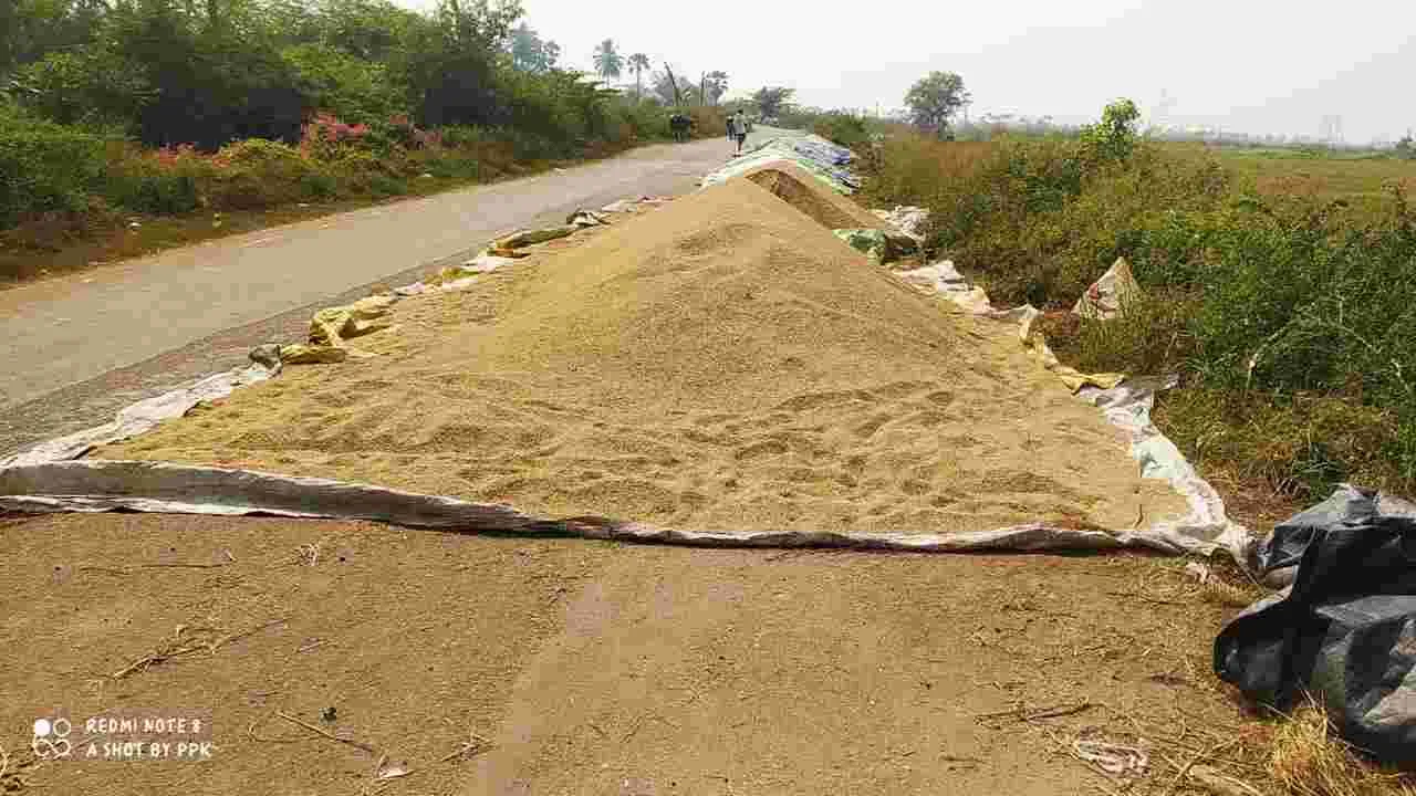  ధాన్యం కొనుగోళ్లు ప్రారంభం