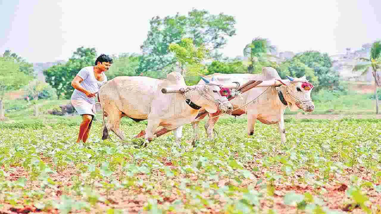 సాగు అనుబంధానికి 43,402 కోట్లు