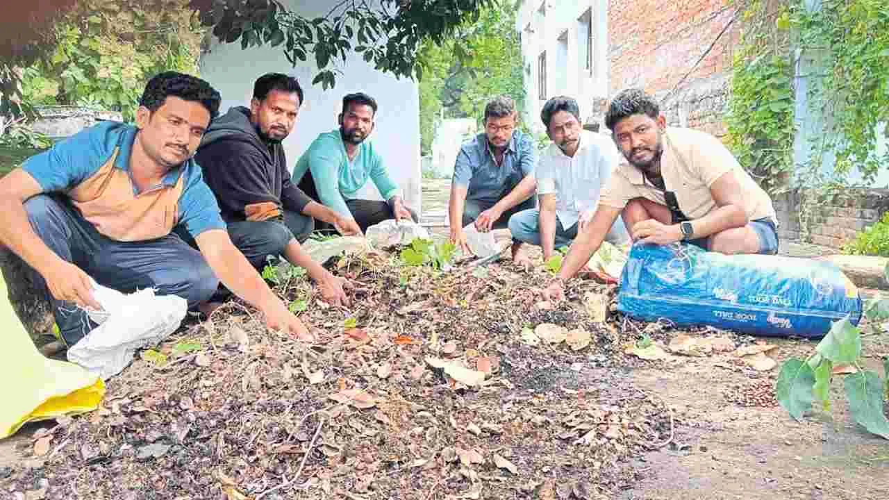 రెండు లక్షల విత్తనాల సేకరణ