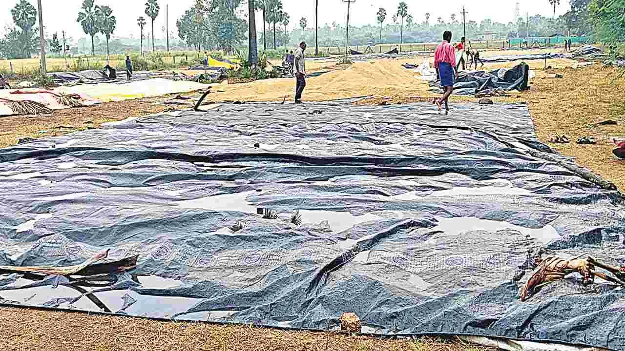 Rainfall: పిడుగుపాటుకు ఇద్దరి మృతి..