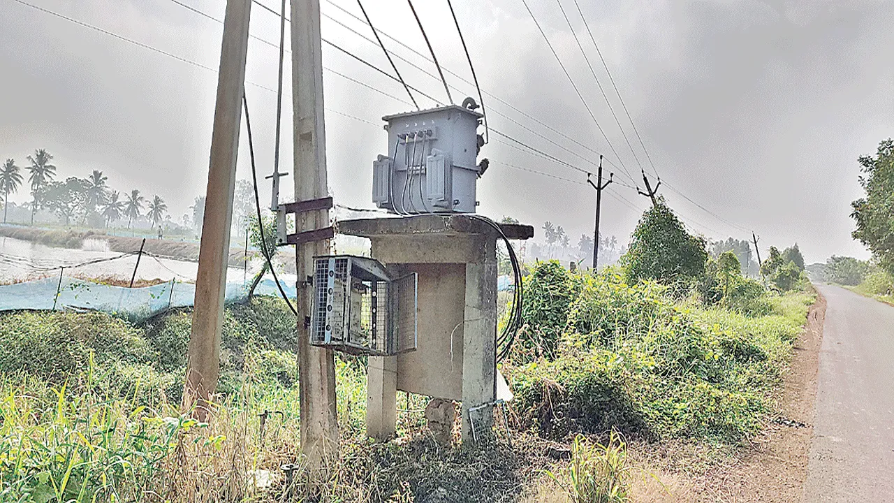 ఆక్వాను ఆదుకోవాలి