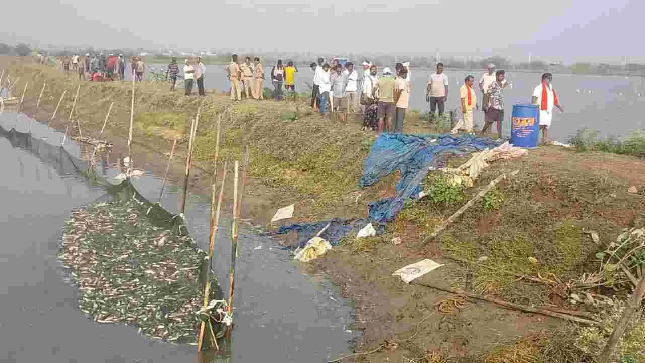 కొల్లేరులో మరో వివాదం