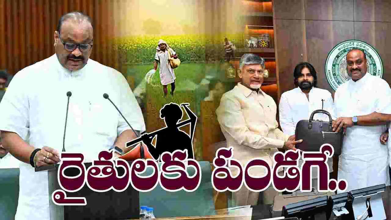 AP Budget 2024-25: భారీగా ఏపీ వ్యవసాయ బడ్జెట్.. పూర్తి కేటాయింపులివే..