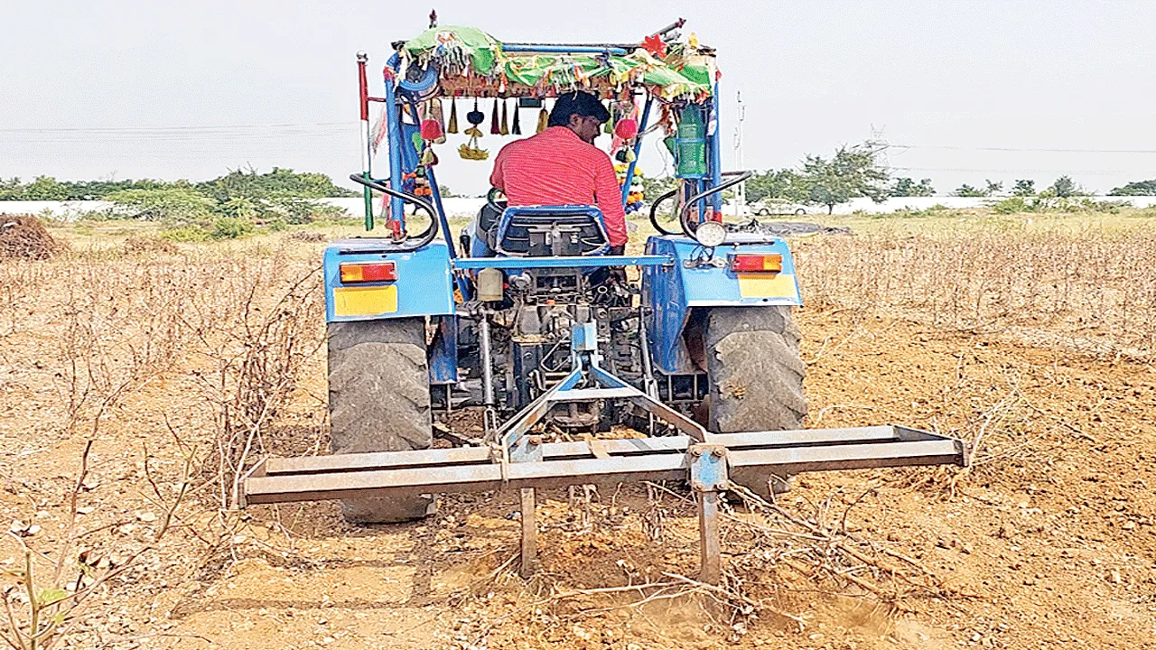 పత్తి రైతు కుదేలు