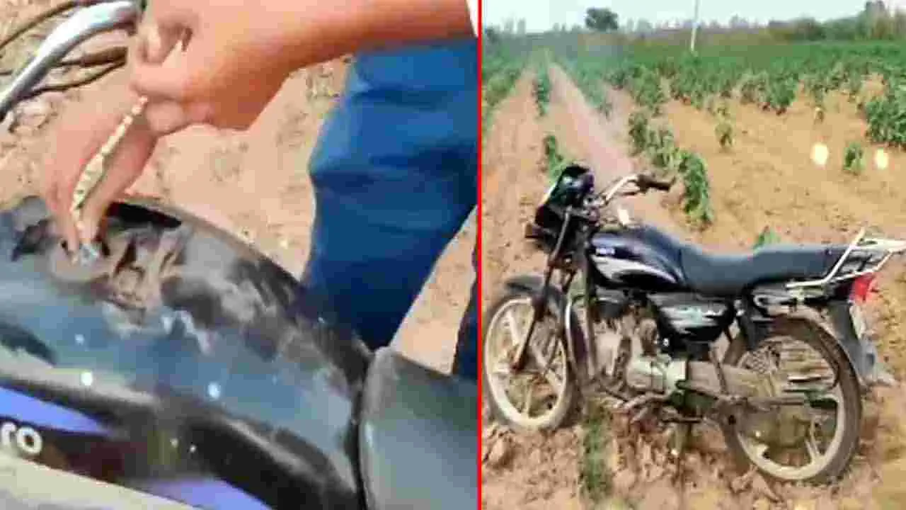 Viral Video: బైకు ట్యాంక్‌లో టపాసు పెట్టి పేల్చేశాడు.. చివరకు ఏమైందో చూస్తే.. షాకవ్వాల్సిందే.. 