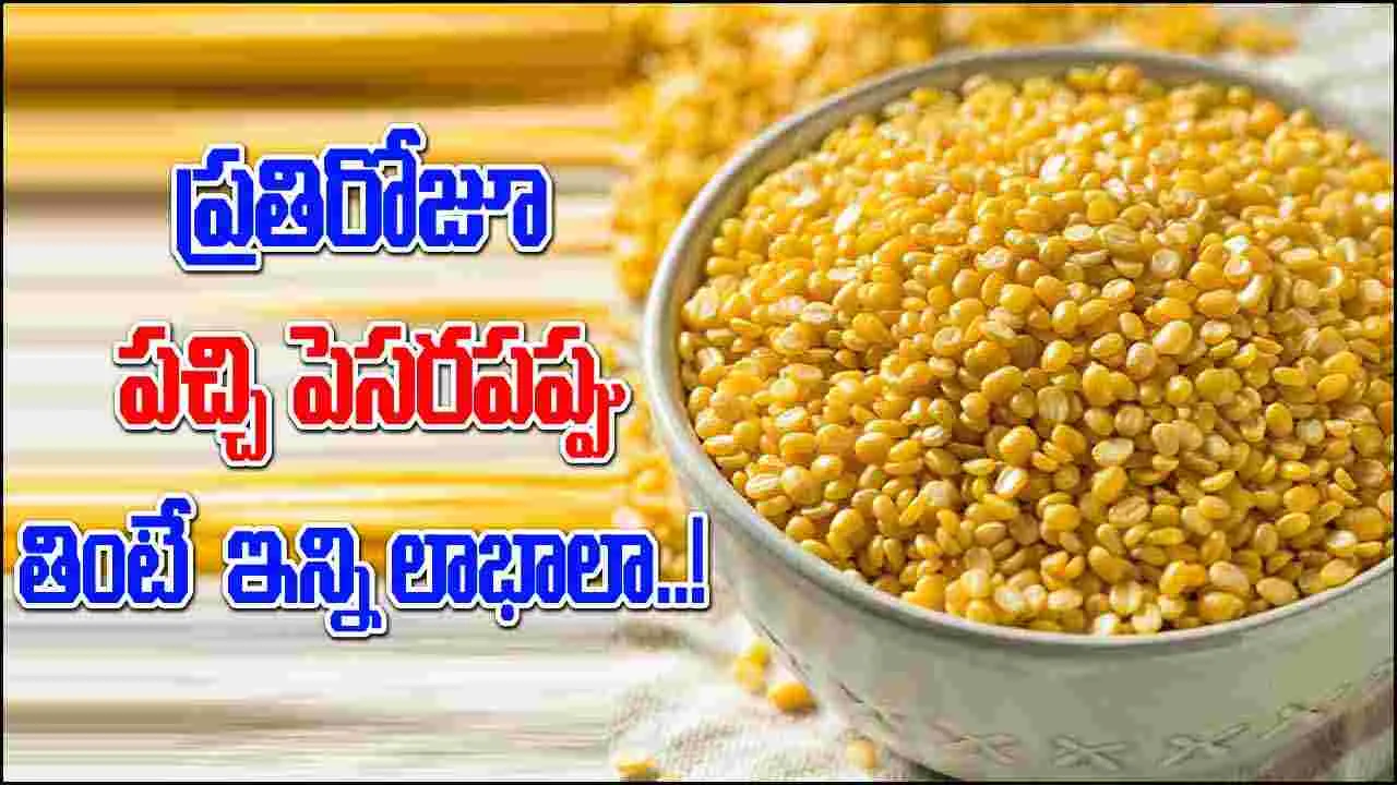 Health Tips:  ప్రతిరోజూ పచ్చి పెసరపప్పు తింటూ ఉంటే.. ఈ లాభాలన్నీ మీ సొంతం..