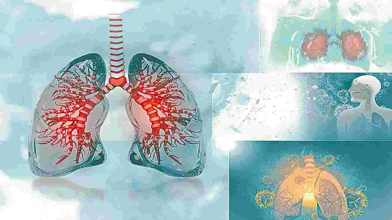 Lung Cancer Awareness : లంగ్స్‌కు లక్ష ముప్పులు   