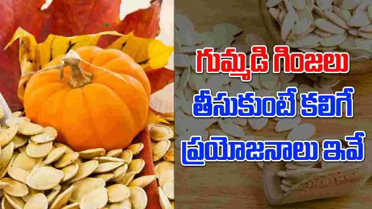 Pupmkin Seeds: గుమ్మడి గింజల్ని రెగ్యులర్‌గా తింటే ఈ సమస్యలు దూరం..