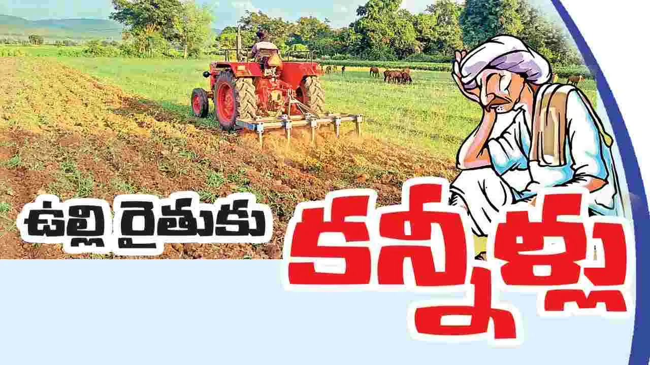 ఉల్లి  రైతుకు కన్నీళ్లు  