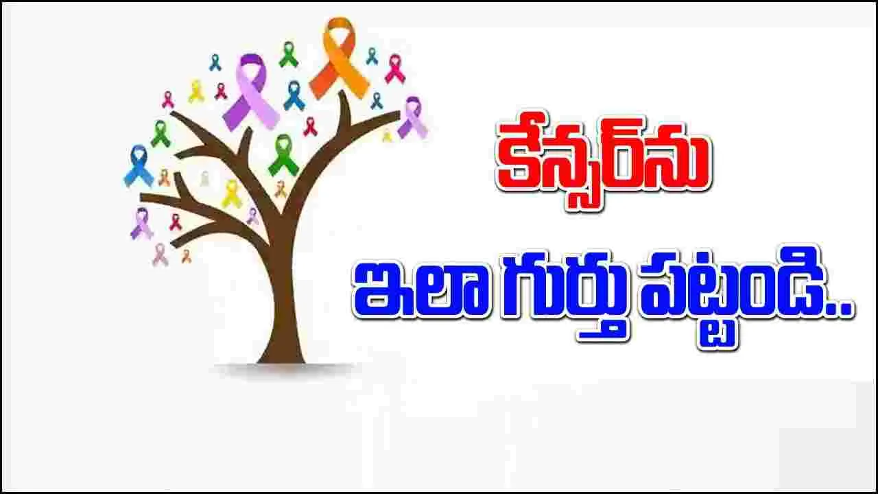 Cancer Awareness : ఇలా చేస్తే కేన్సర్‌ను చిటికెలో పట్టేయ్యొచ్చు..