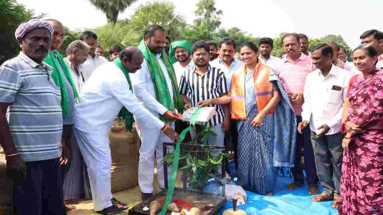 ధాన్యం కొనుగోలు కేంద్రాలను సద్వినియోగం చేసుకోవాలి