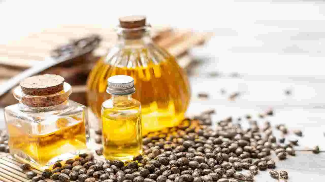 Castor Oil: ముఖానికి ఆముదం రాయడం మంచిదేనా? చాలామందికి తెలియని నిజాలివీ..