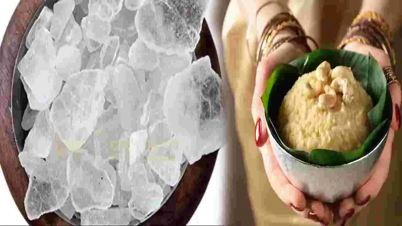 Health Tips: వంటల్లో పచ్చ కర్పూరం ఎందుకు జోడిస్తారు? ఇది ఆరోగ్యానికి ఎంతవరకు మంచిదంటే..