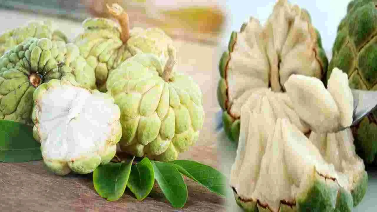 Custard Apple: సీతాఫలాల కాలం.. ఆరోగ్యానికి భలే లాభం..