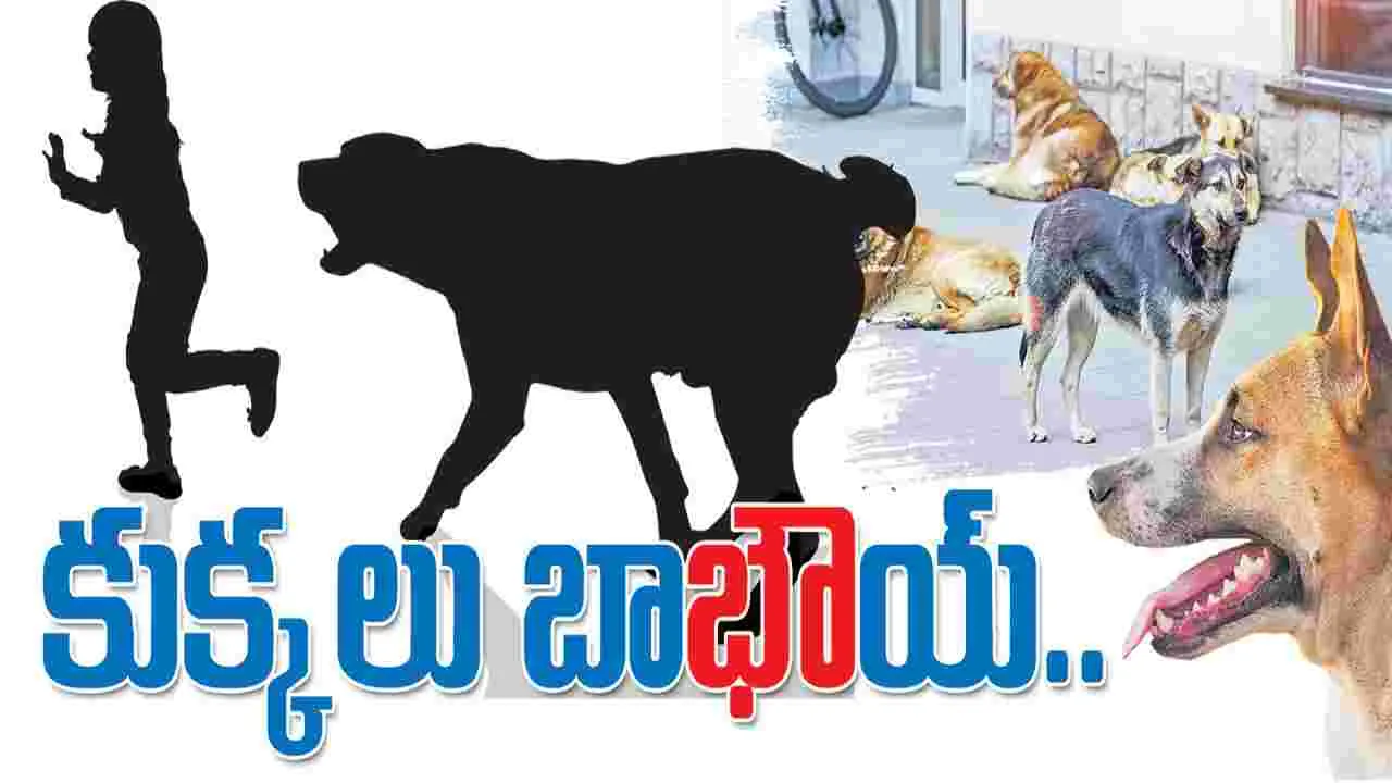 Street Dogs Attack :బాబోయ్‌.. కుక్కలు కరుస్తున్నాయ్‌..  గుంటూరు జిల్లాలో వీధి కుక్కల బీభత్సం