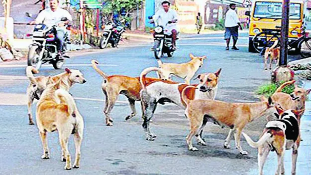 Dogs in Hanumakonda: హనుమకొండలో వీధి కుక్కల బీభత్సం.. చిన్నారులకు తీవ్రగాయాలు
