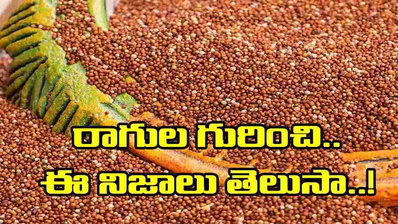 Health Tips: బాబోయ్.. రాగులు మంచి పోషకాహారమే అనుకున్నాం.. కానీ దీంతో ఈ లాభాలు కూడా ఉన్నాయా..