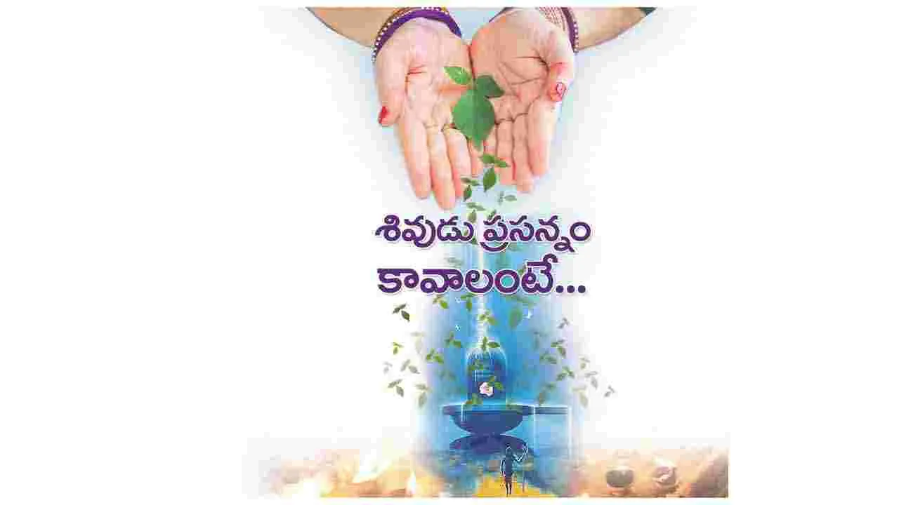  శివుడు ప్రసన్నం కావాలంటే..