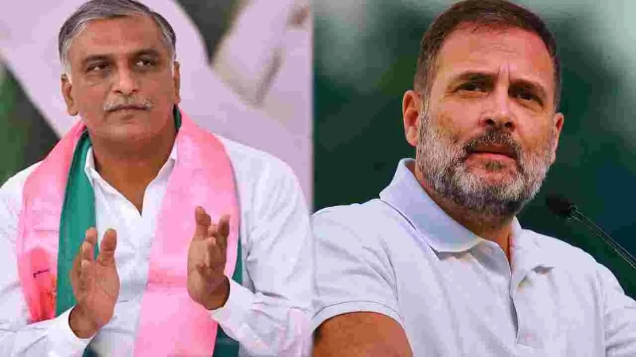 Harish Rao: రాహుల్.. అశోక నగరానికి వెళ్లండి