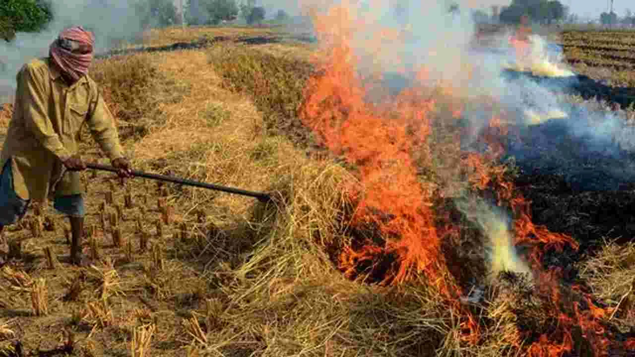 Viral News: రైతులు పంటలను ఎలా కాల్చారో చూశారా.. నాసా ఉహగ్రహం చిత్రాలు వైరల్