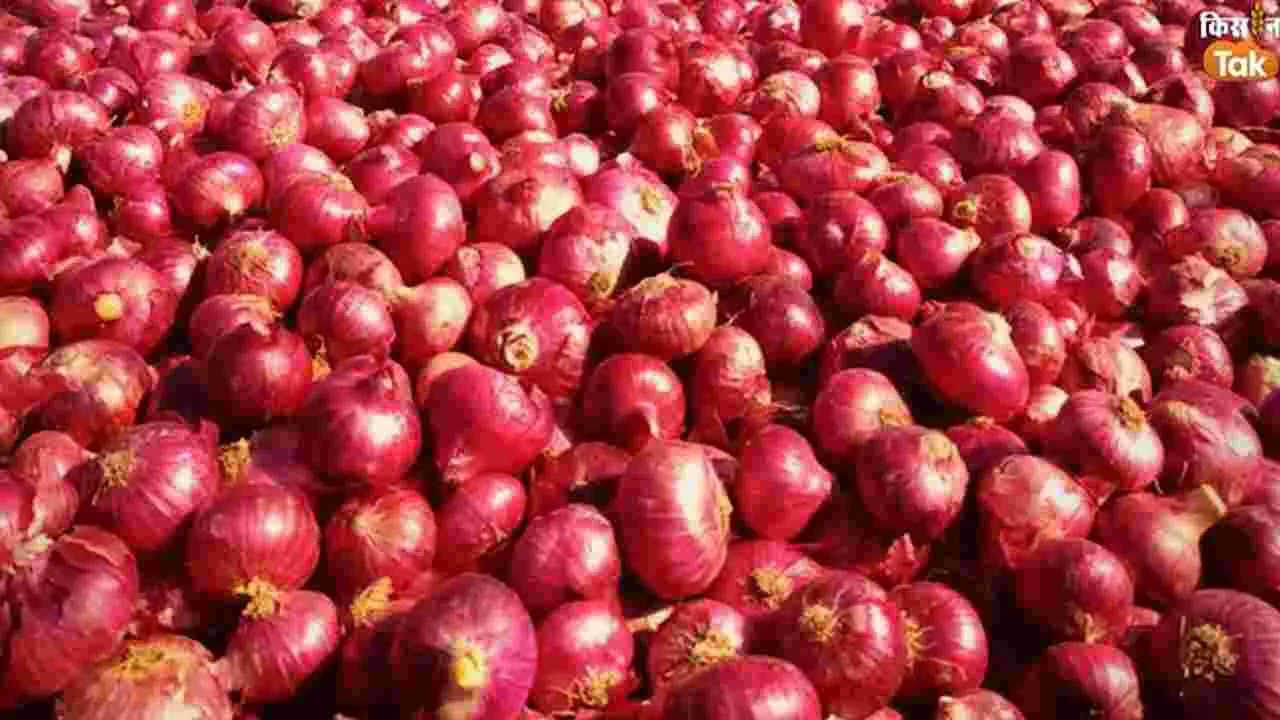 Onion Prices: సామాన్యులకు గుడ్ న్యూస్.. ఉల్లి ధర ఎంత తగ్గిందో తెలుసా..