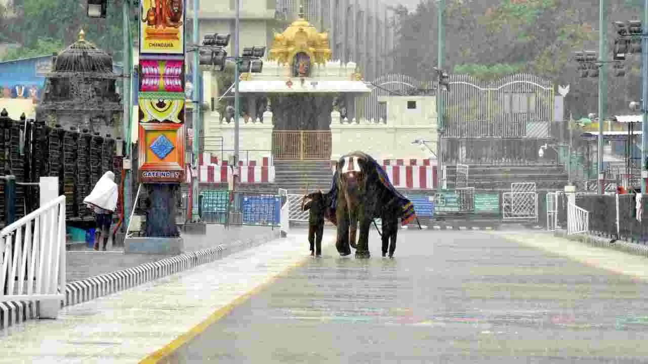 Tirumala: తిరుమలలో భారీ వర్షం