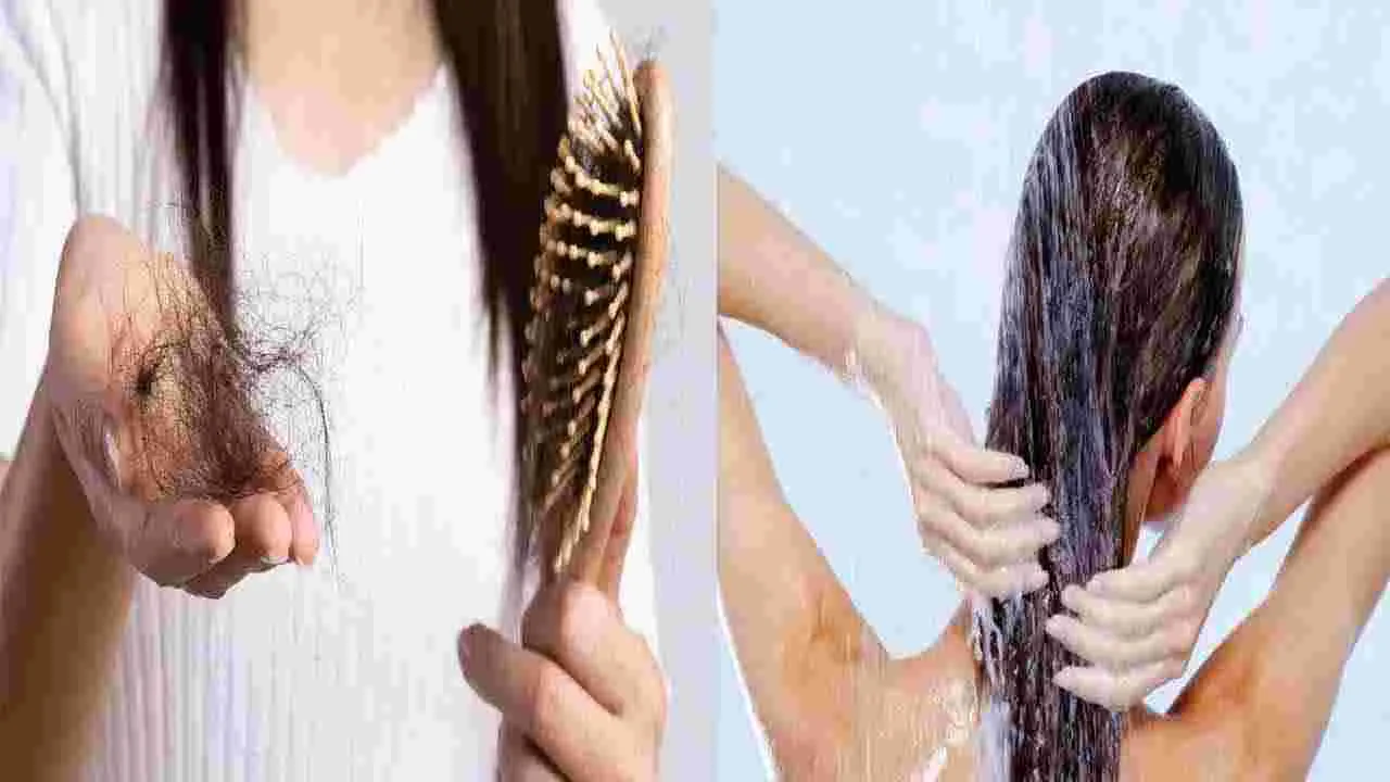 Hair Fall: జుట్టు బాగా రాలుతోందా?  షాంపూలో ఇదొక్కటి కలిపి వాడండి..