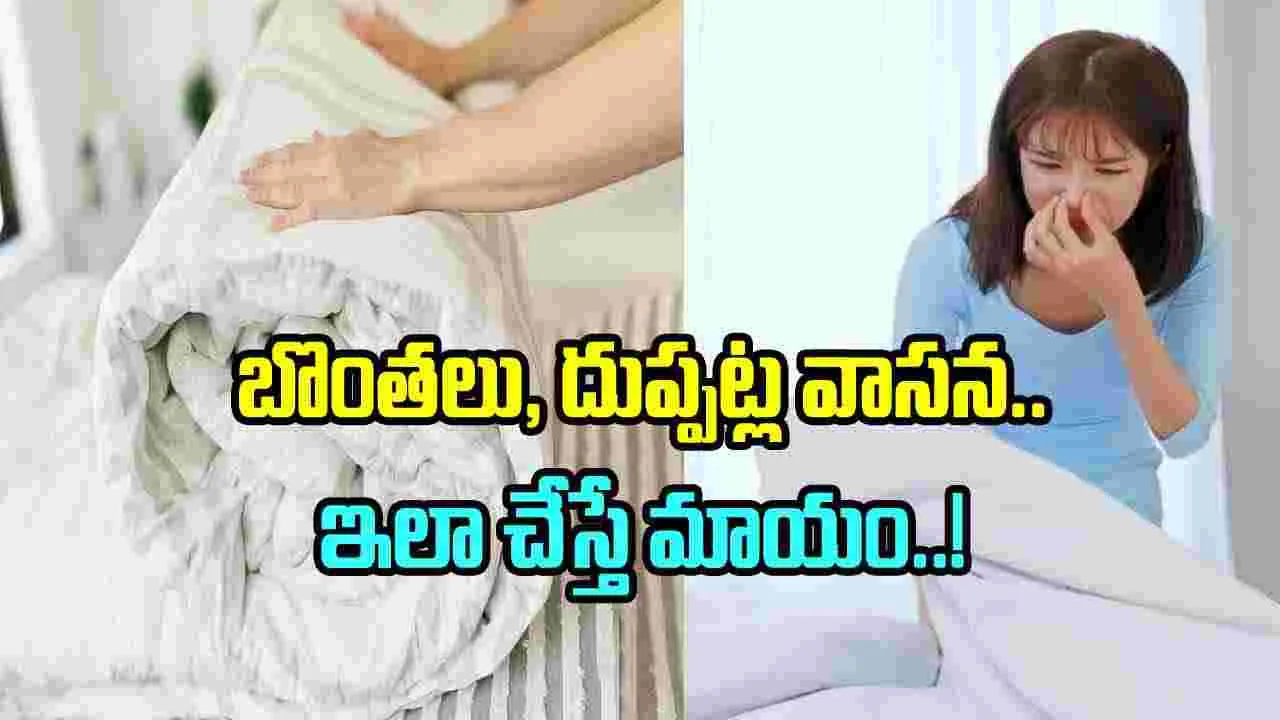 Winter Tips: చలికాలంలో బొంతలు, దుప్పట్ల వాసన.. ఇలా చేస్తే మాయం..